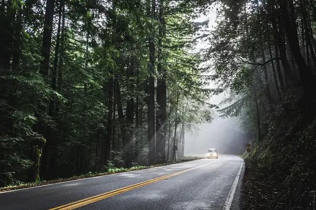 Explore Scenic Road Trips: Avoid Common Mistakes