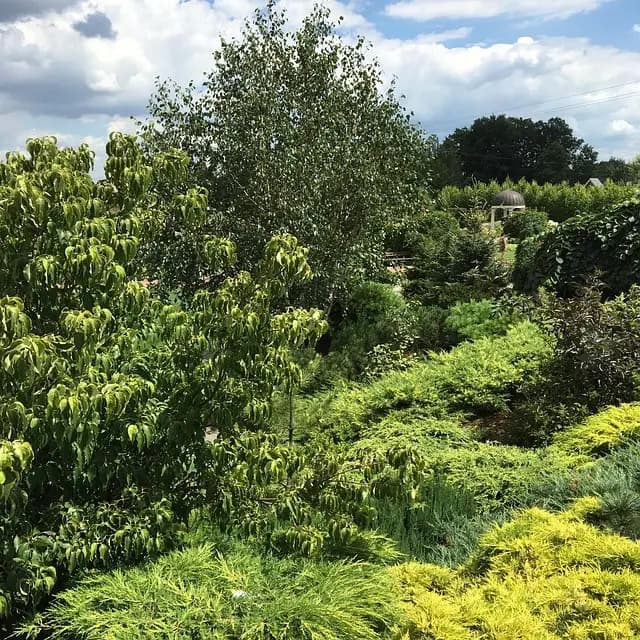 Jak uprawiać zioła w domu - Praktyczny przewodnik
