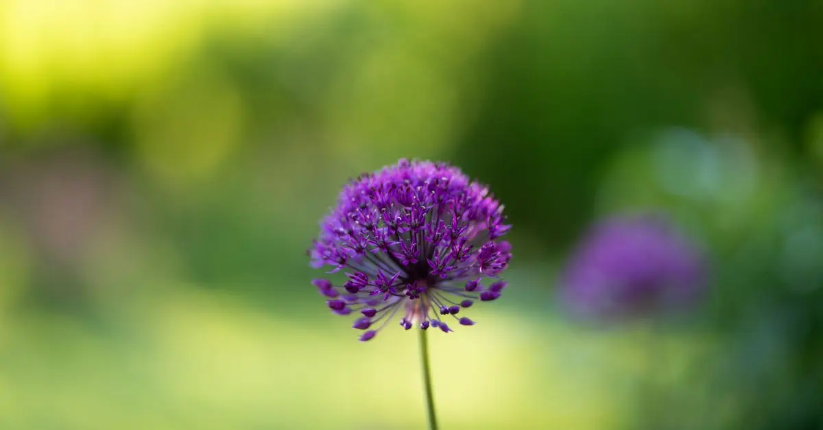 Guide d'achat de mobilier de jardin durable