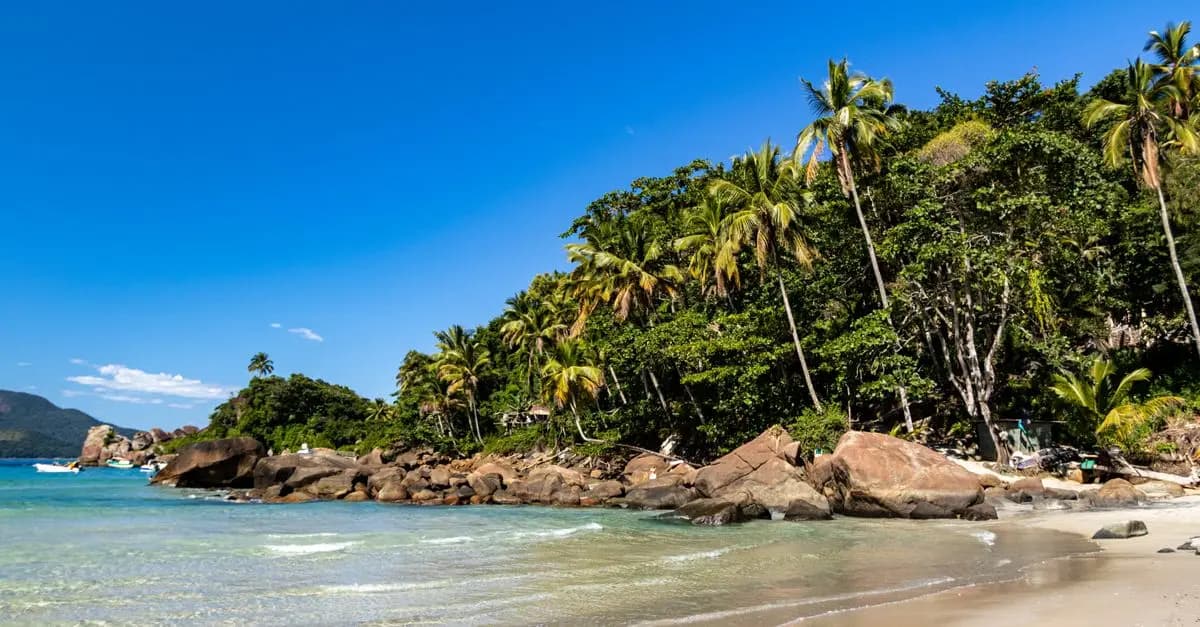 Découvrez les plages tropicales : Guide d'évasion