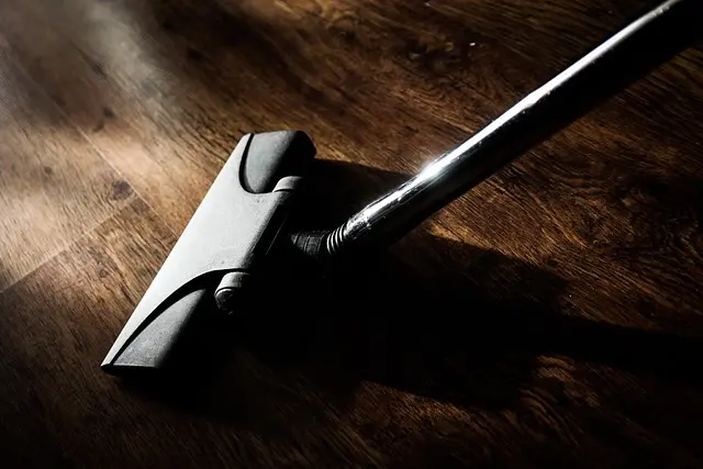 Best Vacuums for Allergies
