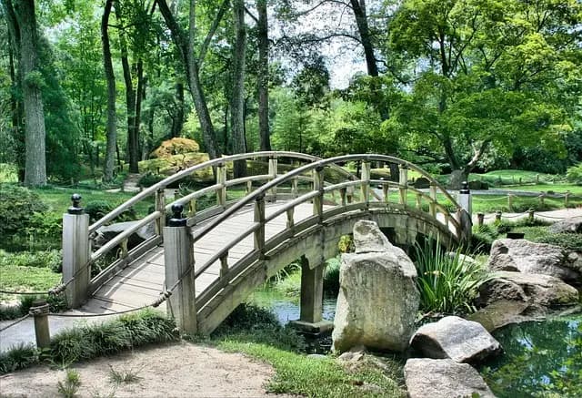 Guide d'achat complet des coupe-bordure jardin