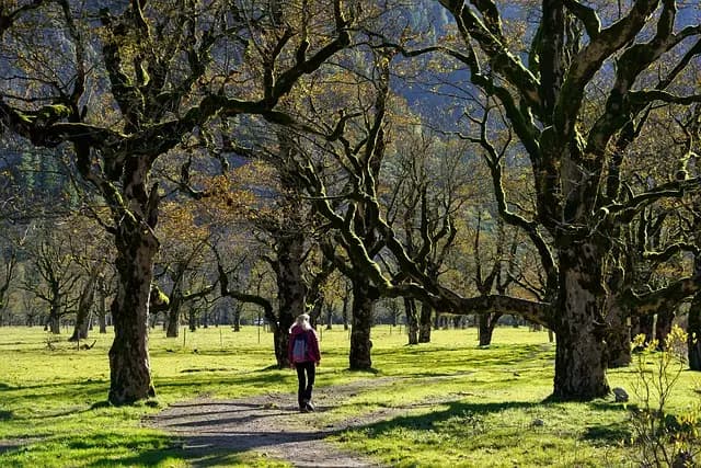 The Best Scenic Walking Trails in the UK