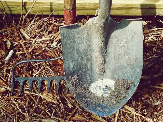 Effective Productivity Tools for Time Management